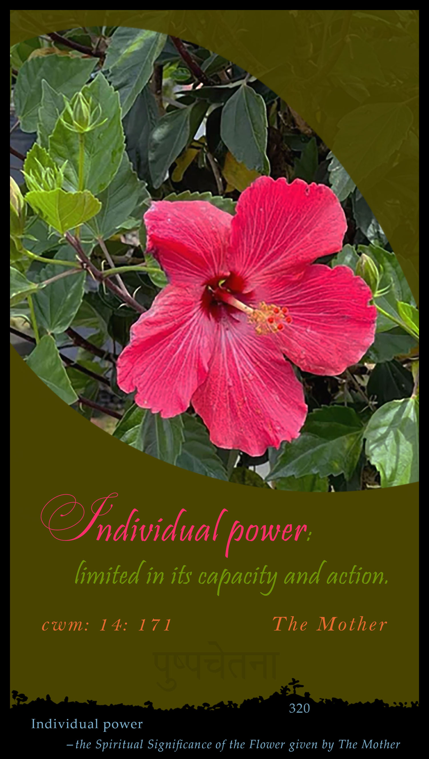 Individual Power